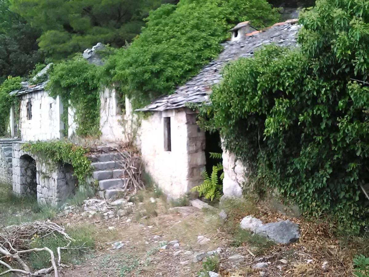 Zorana Apartment Mimice Exterior photo